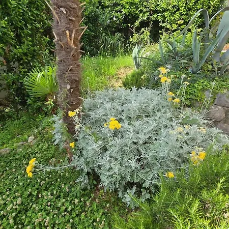 Medea Sea View By Guide